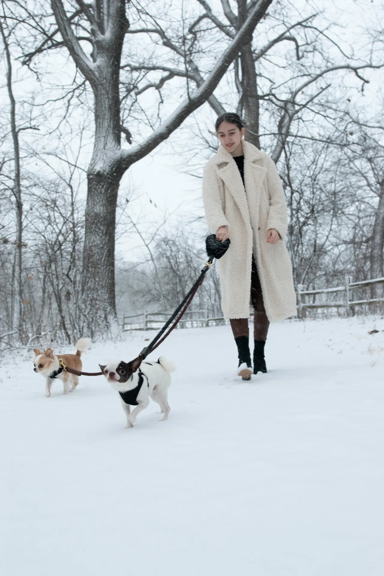 Bundle Shearling Fur Grip   Rope Leash for Dogs - Chic and Functional Dog Walking Accessory
