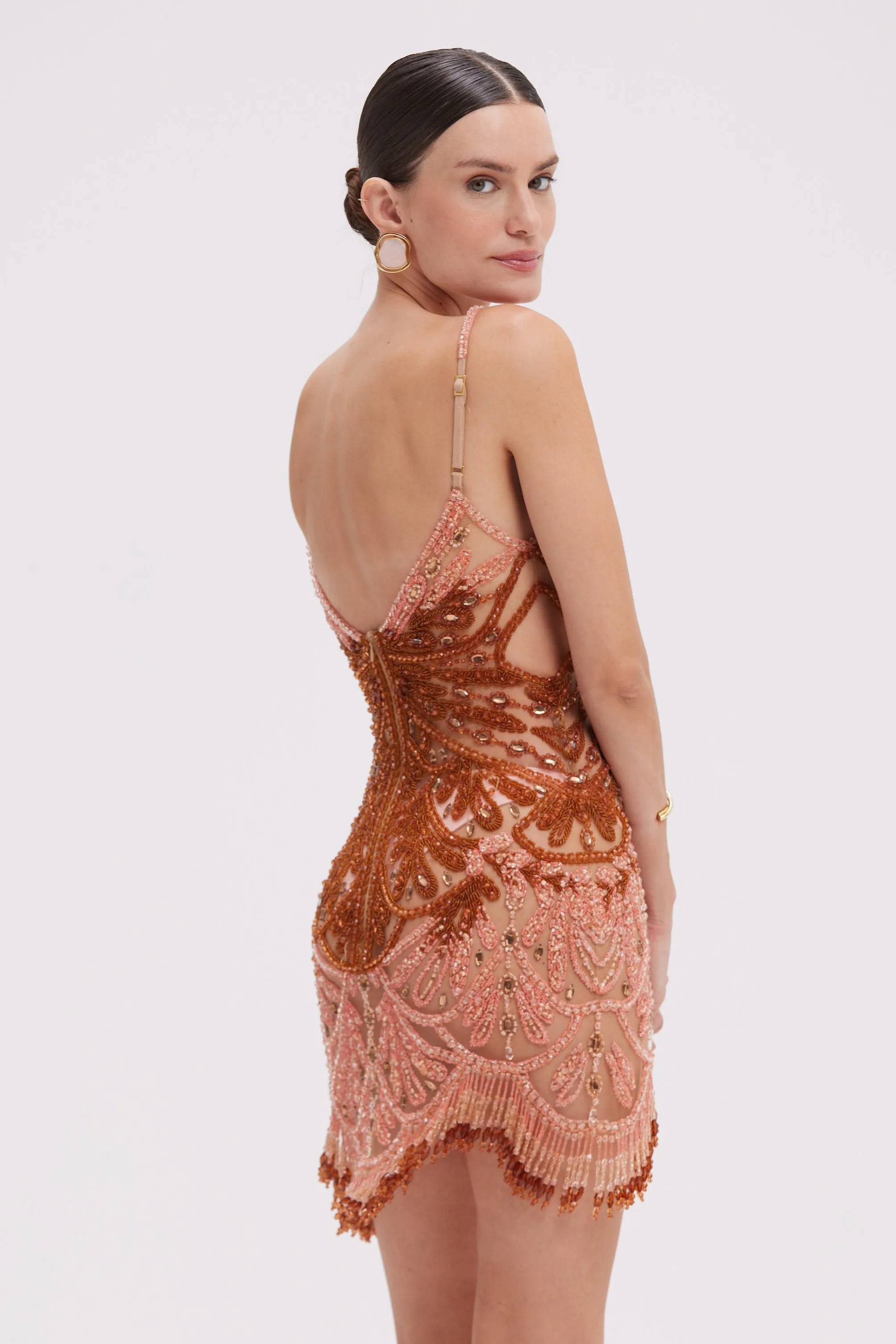 EMBROIDERED TULLE MINI DRESS (RUNWAY)