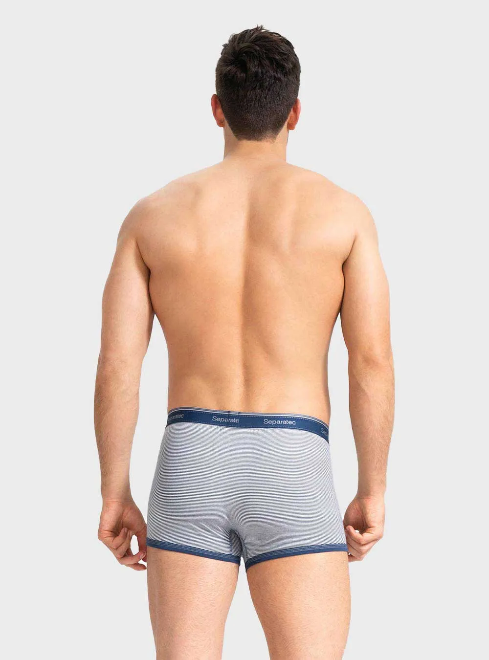 Stylish Functional Stripe Cotton Trunks / Fly