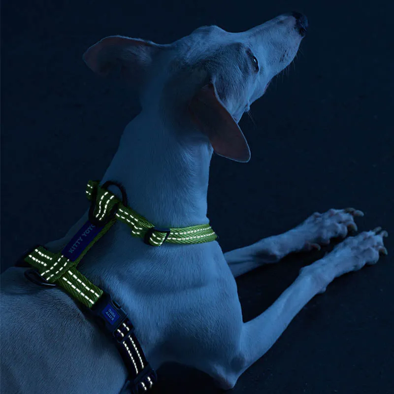 Stylish Multi-Functional Dog Harness