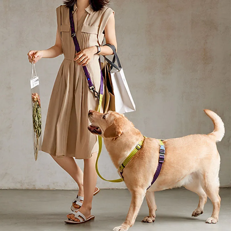 Stylish Multi-Functional Dog Harness