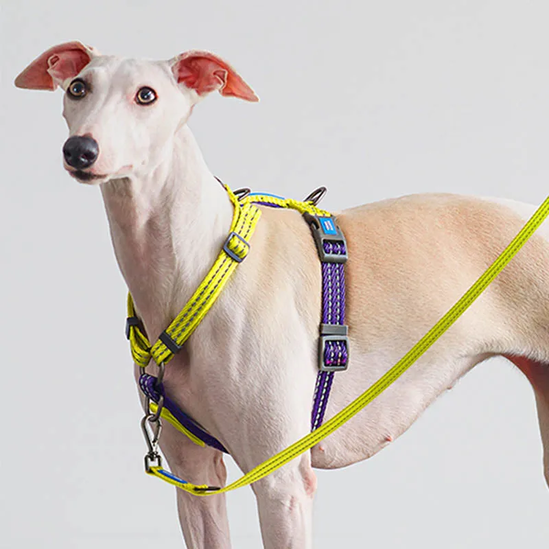Stylish Multi-Functional Dog Harness