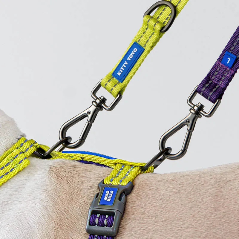 Stylish Multi-Functional Dog Harness